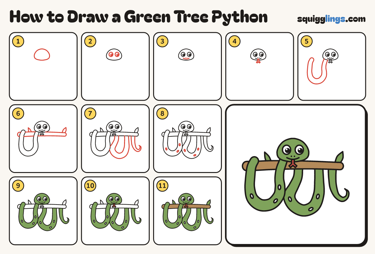 How to Draw a Green Tree Python step by step: all 11 steps in one picture