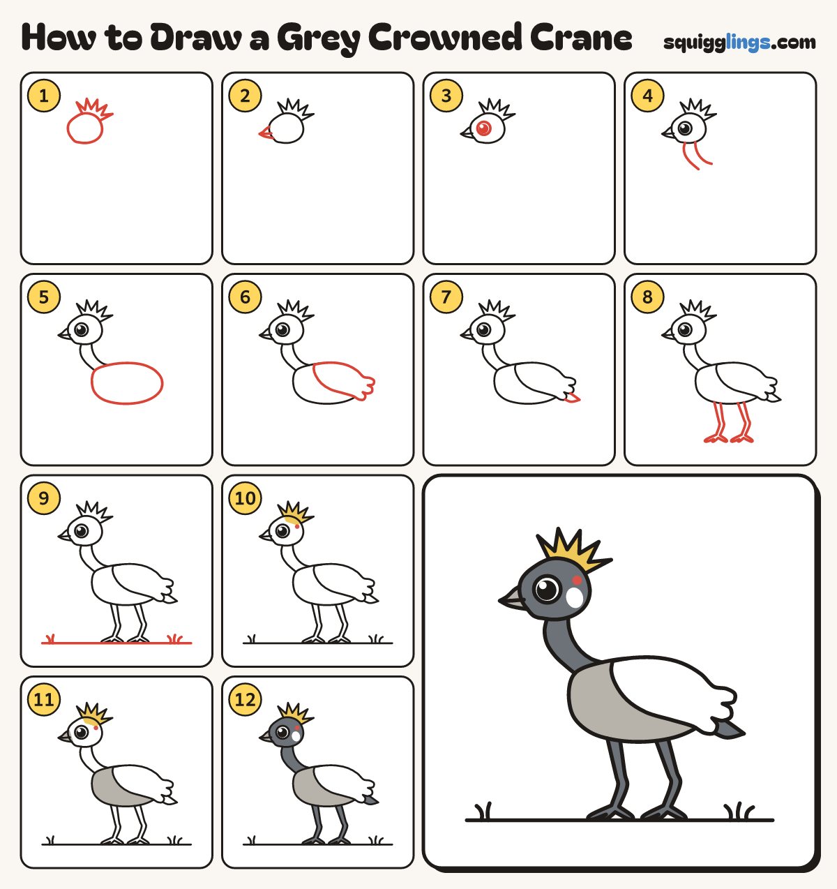 How to Draw a Grey Crowned Crane step by step: all 12 steps in one picture