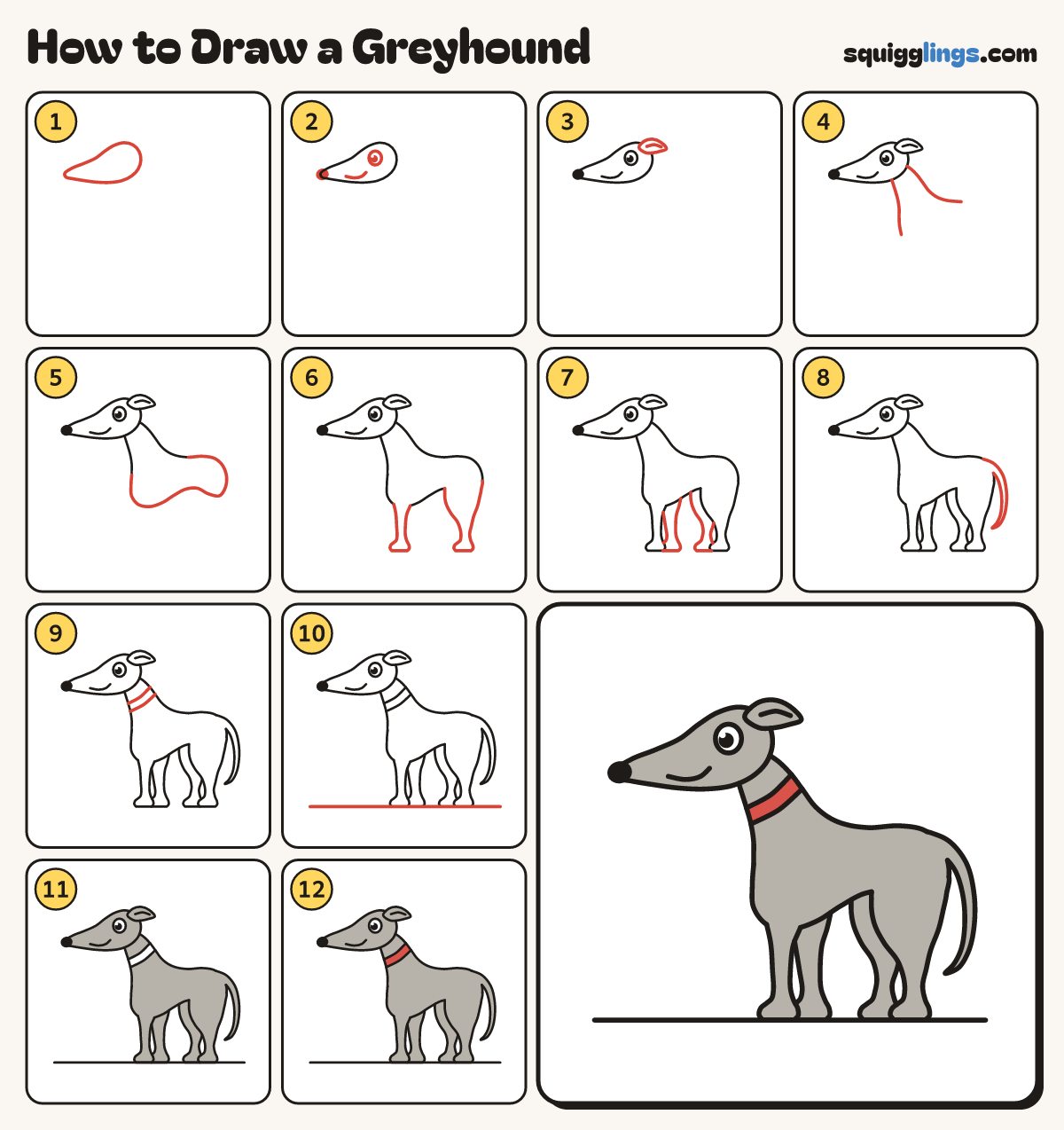 How to Draw a Greyhound step by step: all 12 steps in one picture
