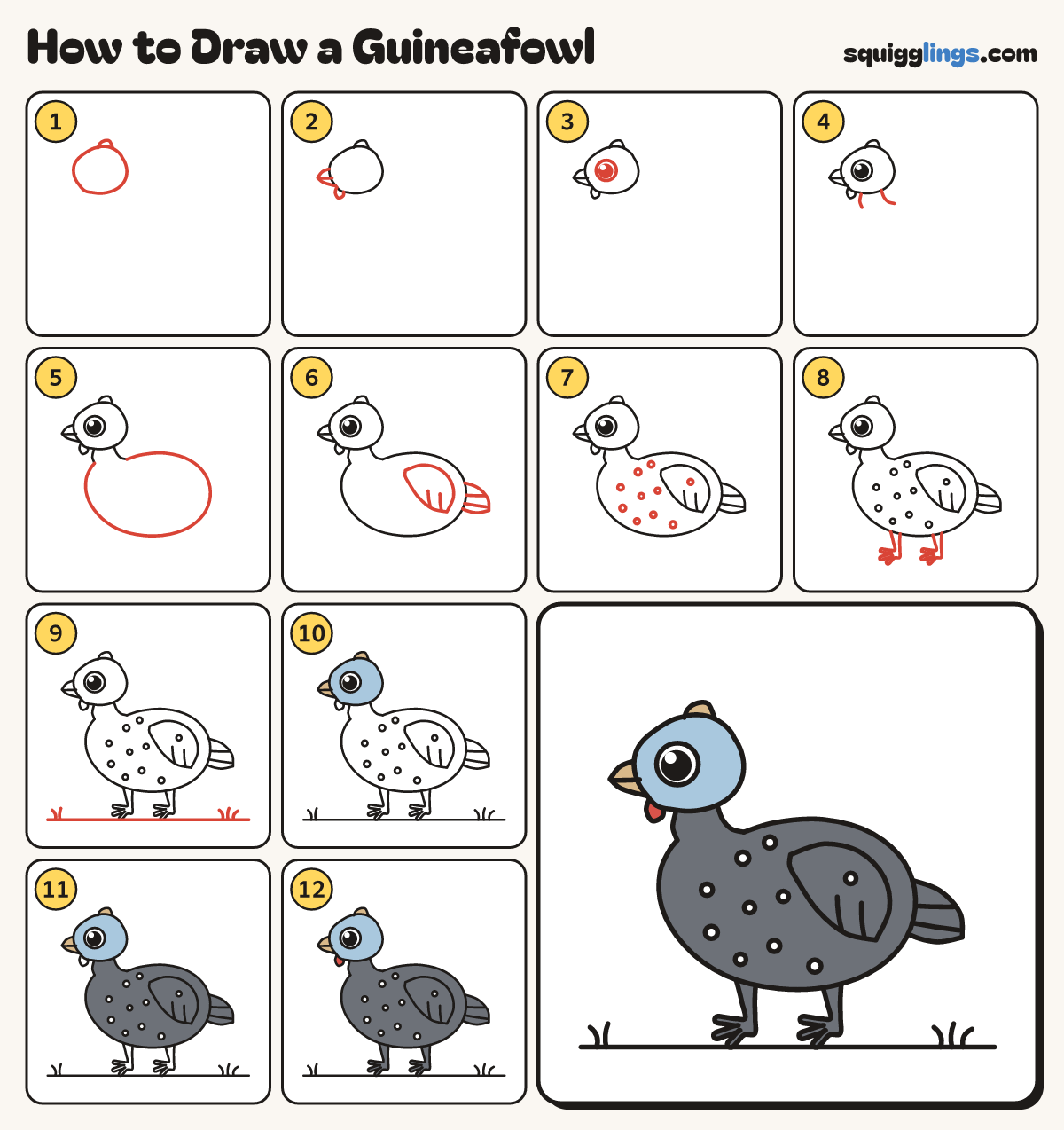 How to Draw a Guineafowl step by step: all 12 steps in one picture