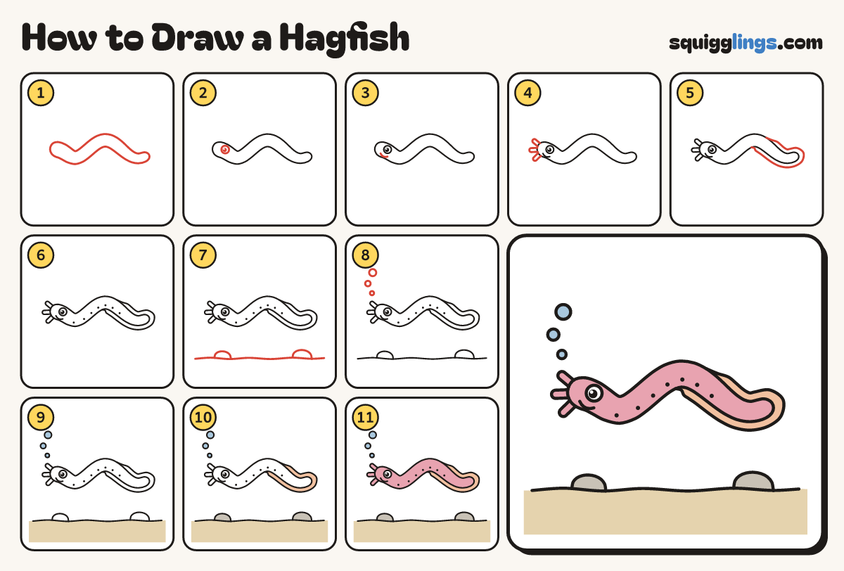 How to Draw a Hagfish step by step: all 11 steps in one picture