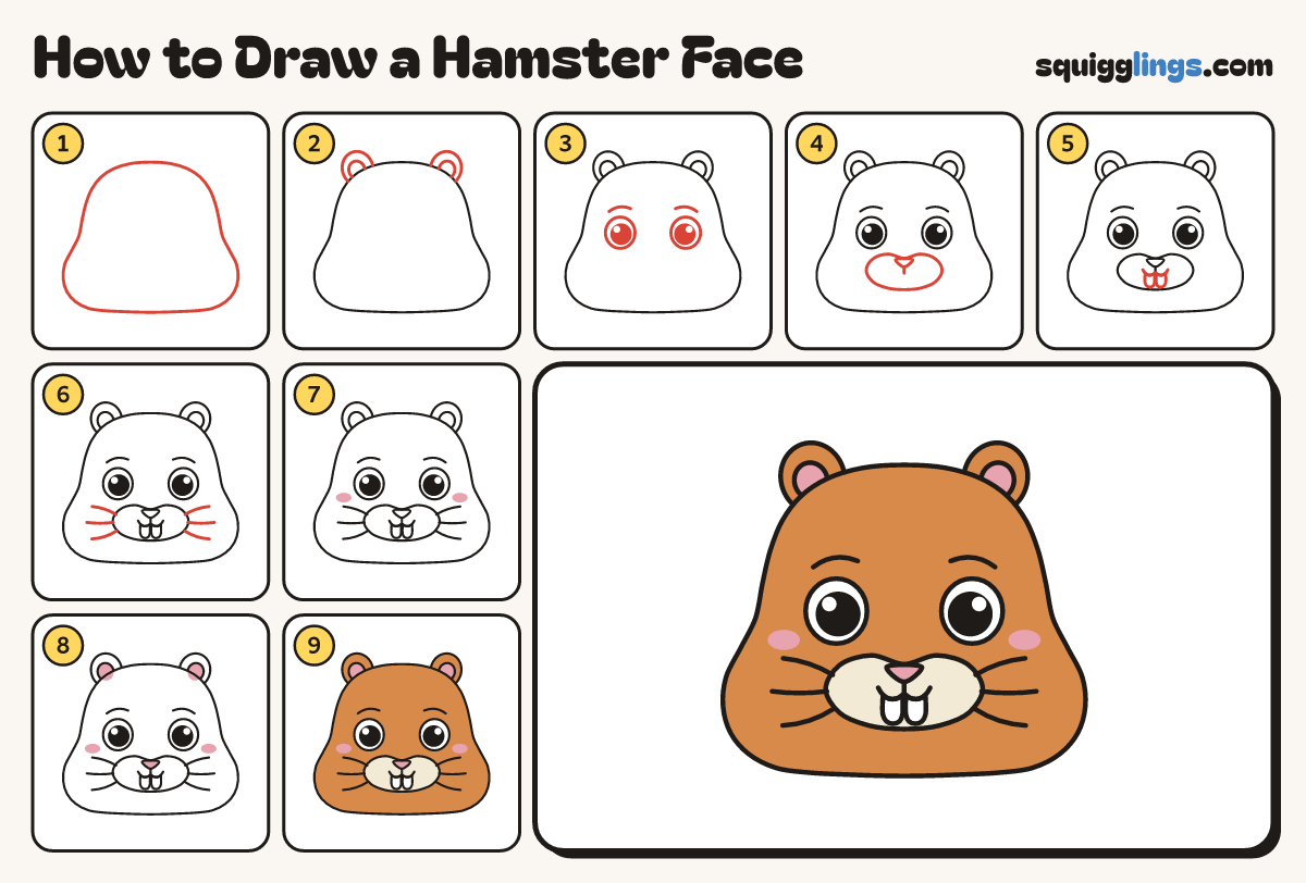 How to Draw a Hamster Face step by step: all 9 steps in one picture