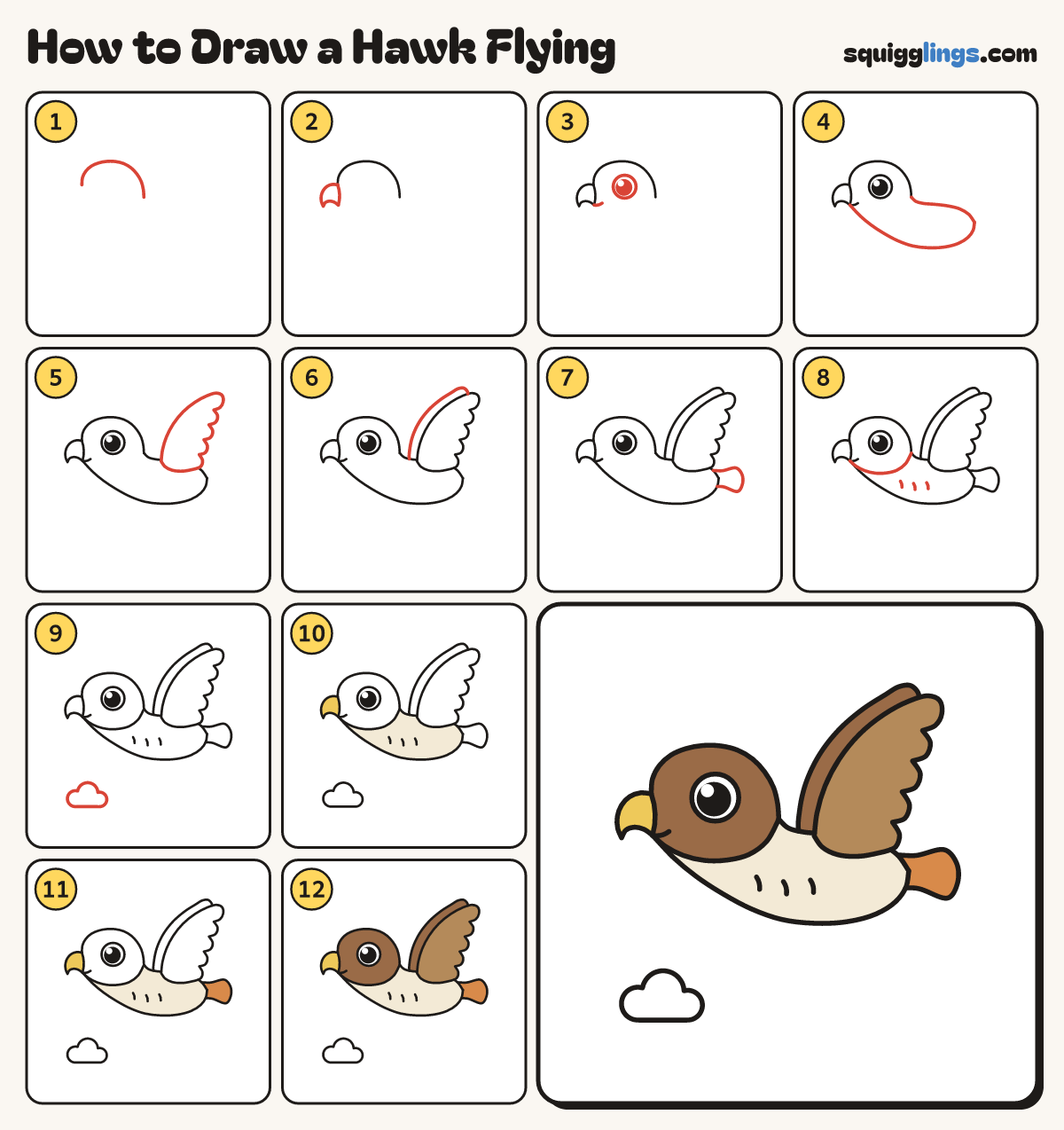 How to Draw a Hawk Flying step by step: all 12 steps in one picture