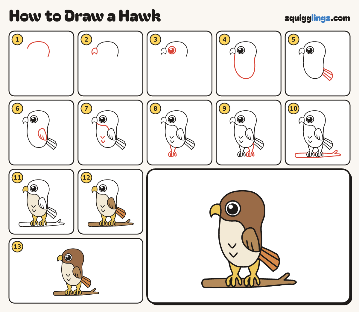 How to Draw a Hawk step by step: all 13 steps in one picture