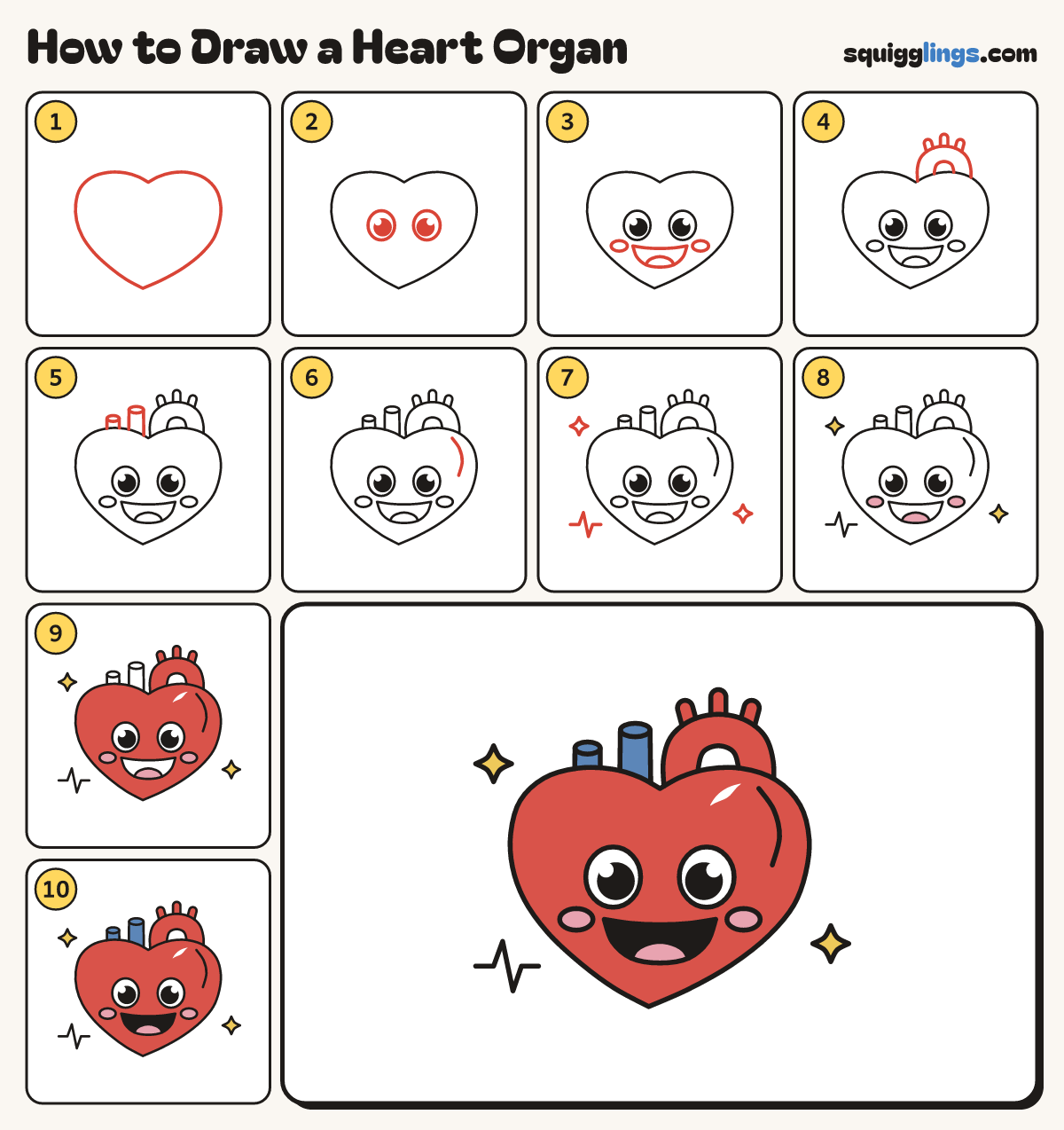 How to Draw a Heart Organ step by step: all 10 steps in one picture