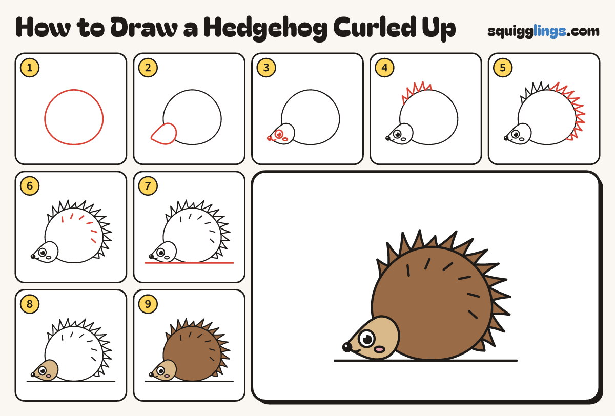 How to Draw a Hedgehog Curled Up step by step: all 9 steps in one picture
