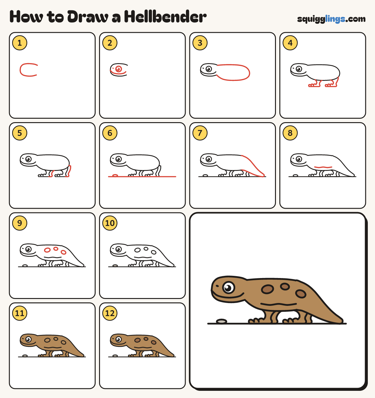 How to Draw a Hellbender step by step: all 12 steps in one picture