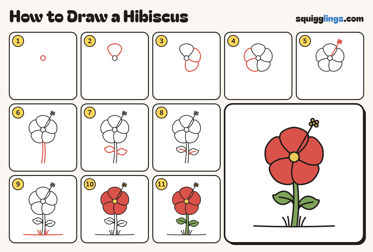 How to Draw a Hibiscus step by step: all 11 steps in one picture