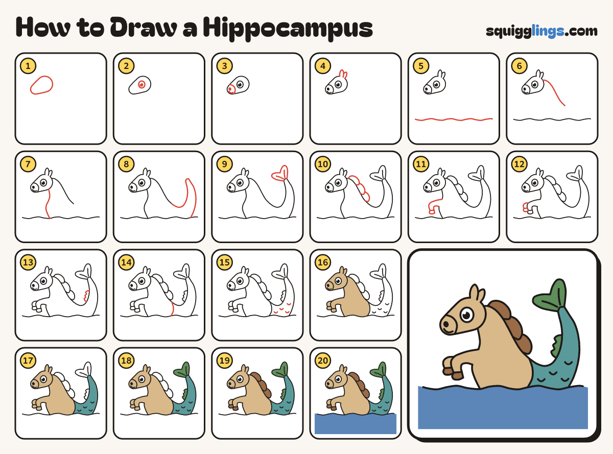 How to Draw a Hippocampus step by step: all 20 steps in one picture