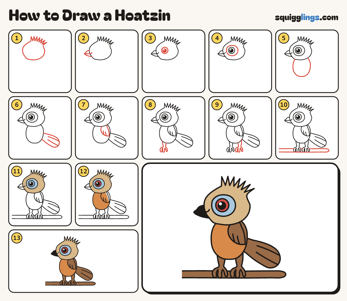 How to Draw a Hoatzin step by step: all 13 steps in one picture