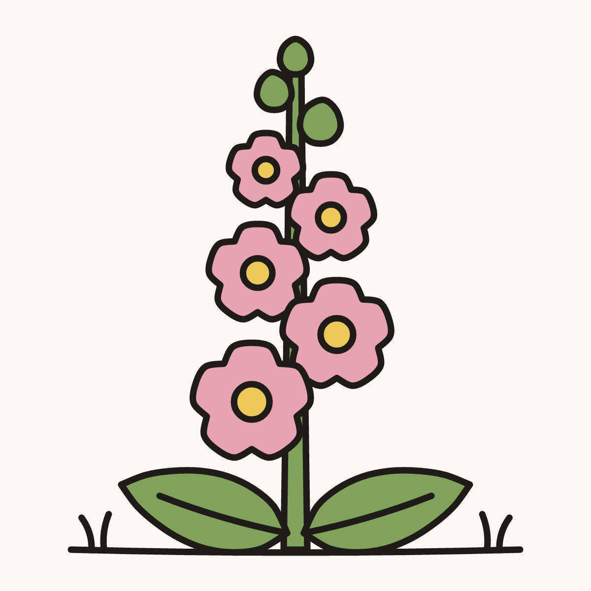 Finished drawing of a hollyhock