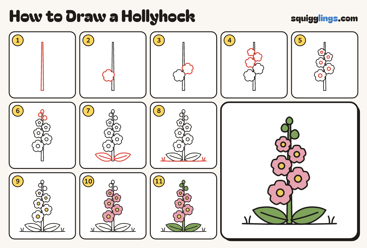 How to Draw a Hollyhock step by step: all 11 steps in one picture