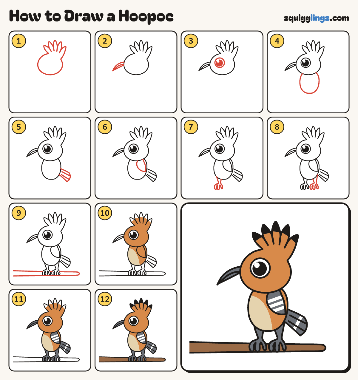 How to Draw a Hoopoe step by step: all 12 steps in one picture
