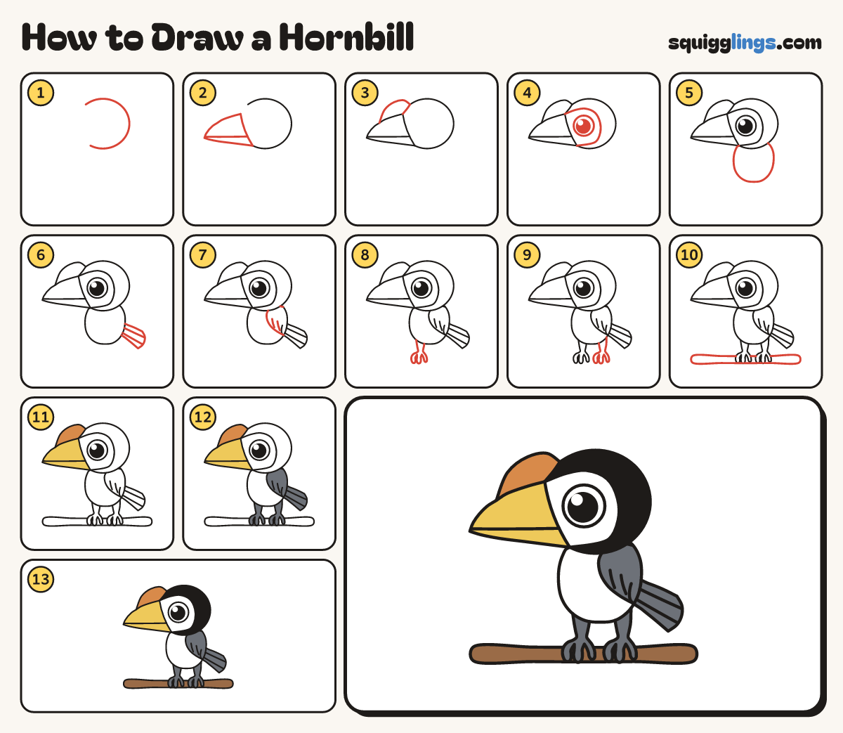 How to Draw a Hornbill step by step: all 13 steps in one picture