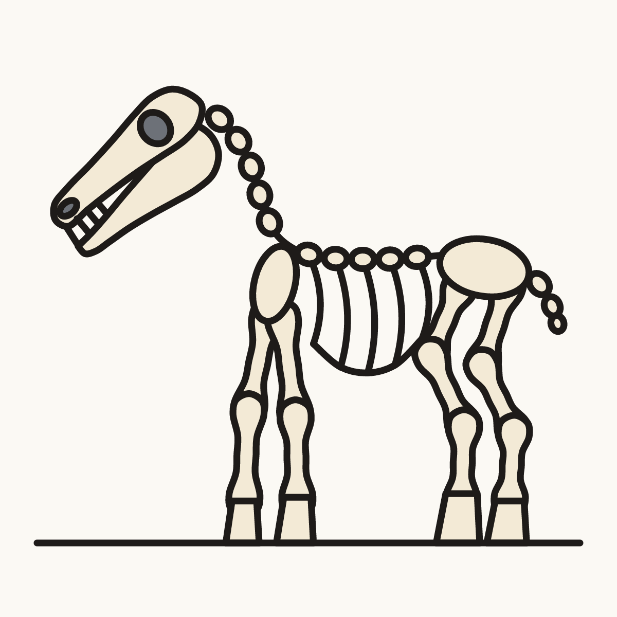 Finished drawing of a horse skeleton
