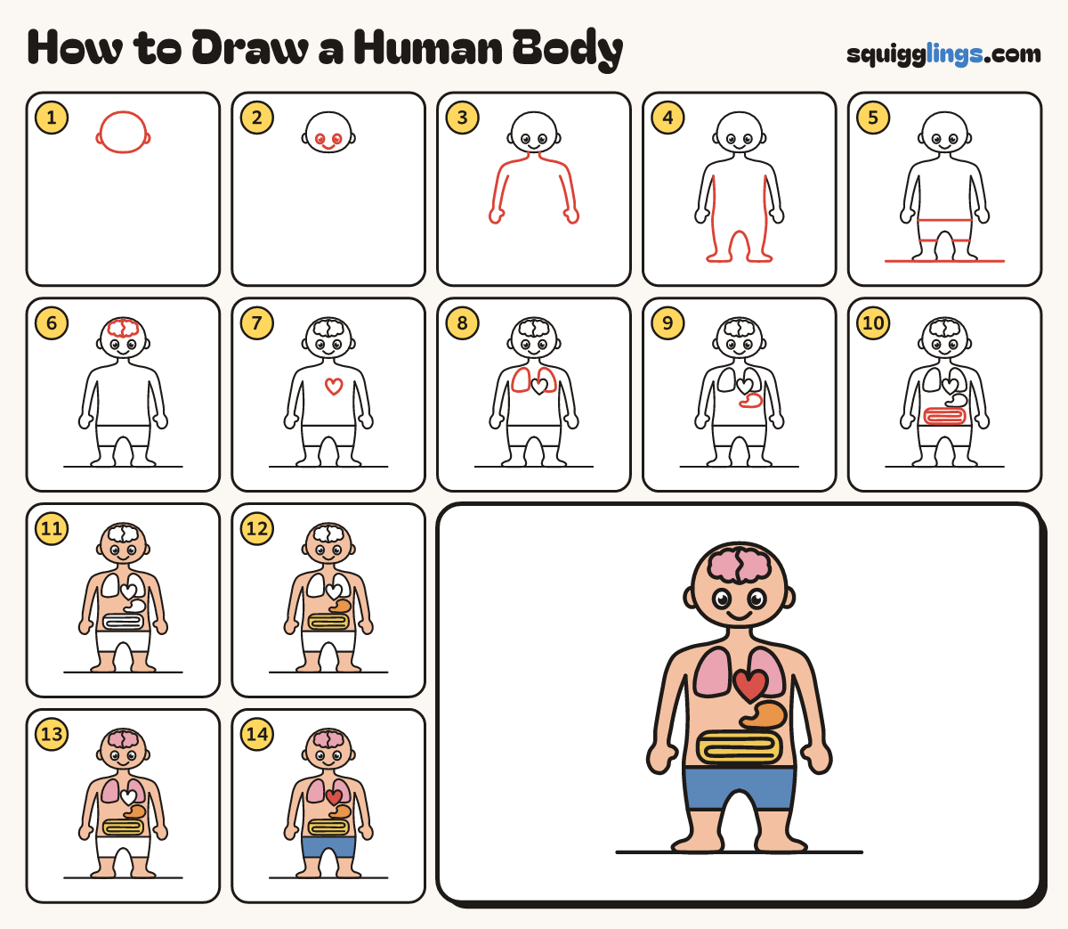 How to Draw a Human Body step by step: all 14 steps in one picture