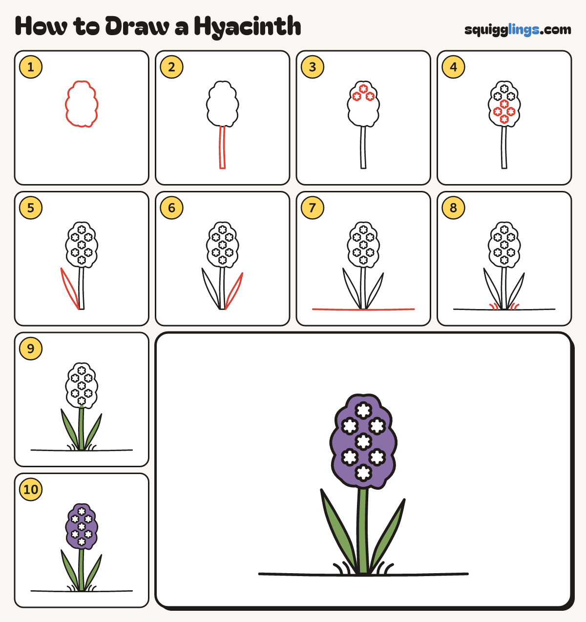 How to Draw a Hyacinth step by step: all 10 steps in one picture