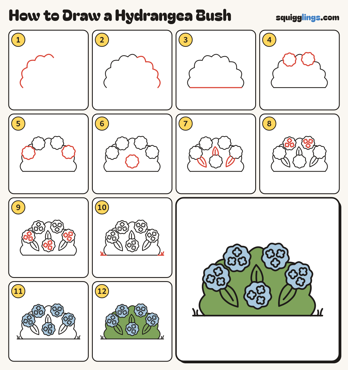 How to Draw a Hydrangea Bush step by step: all 12 steps in one picture