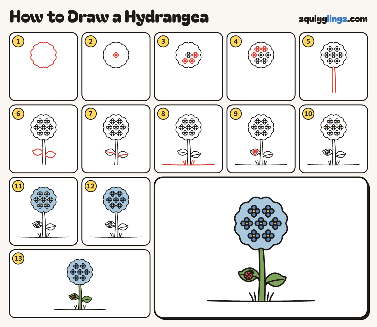 How to Draw a Hydrangea step by step: all 13 steps in one picture