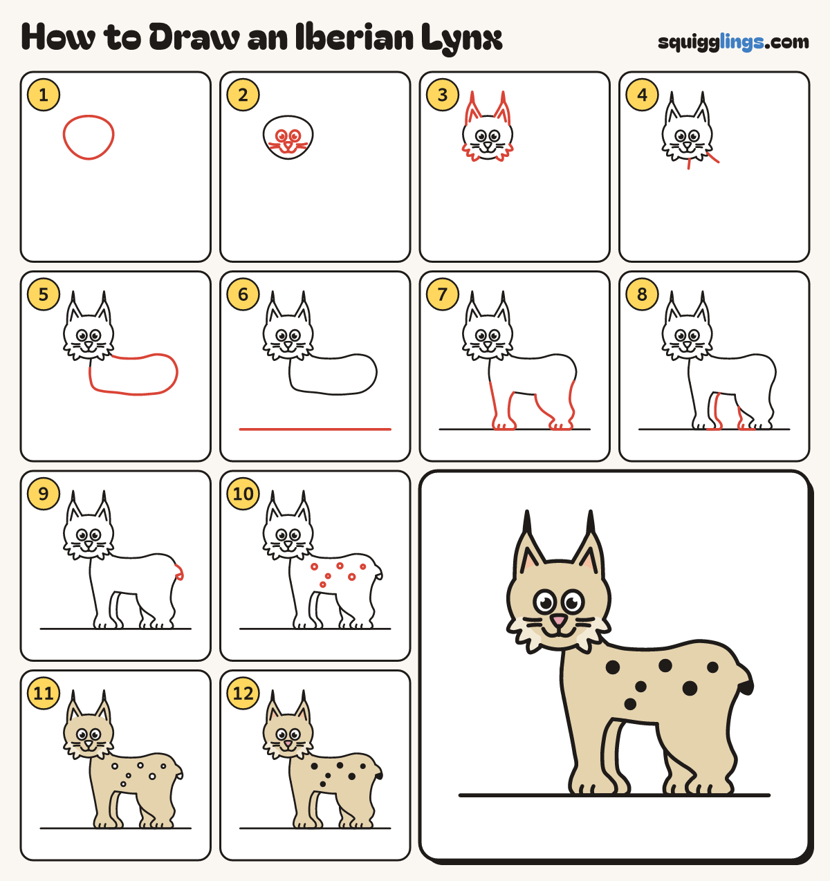 How to Draw an Iberian Lynx step by step: all 12 steps in one picture