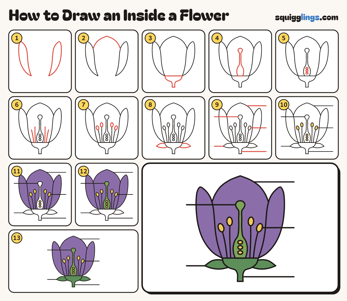 How to Draw an Inside a Flower step by step: all 13 steps in one picture
