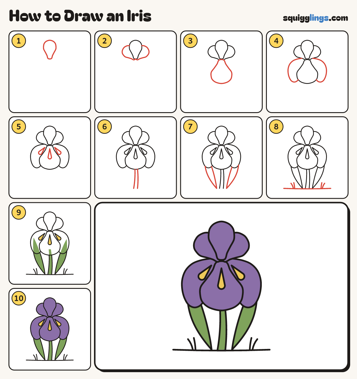 How to Draw an Iris step by step: all 10 steps in one picture