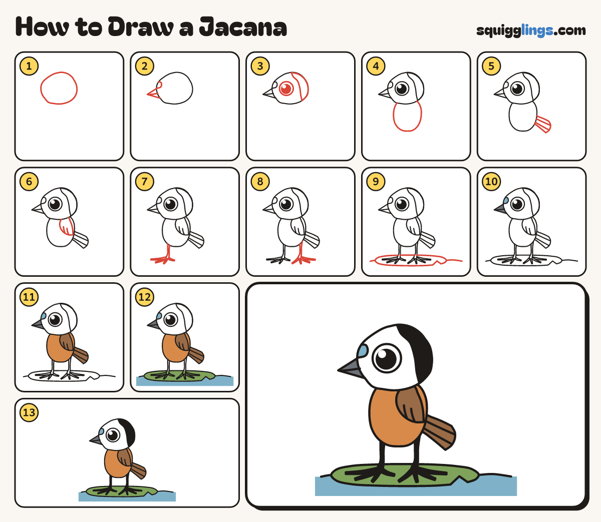 How to Draw a Jacana step by step: all 13 steps in one picture