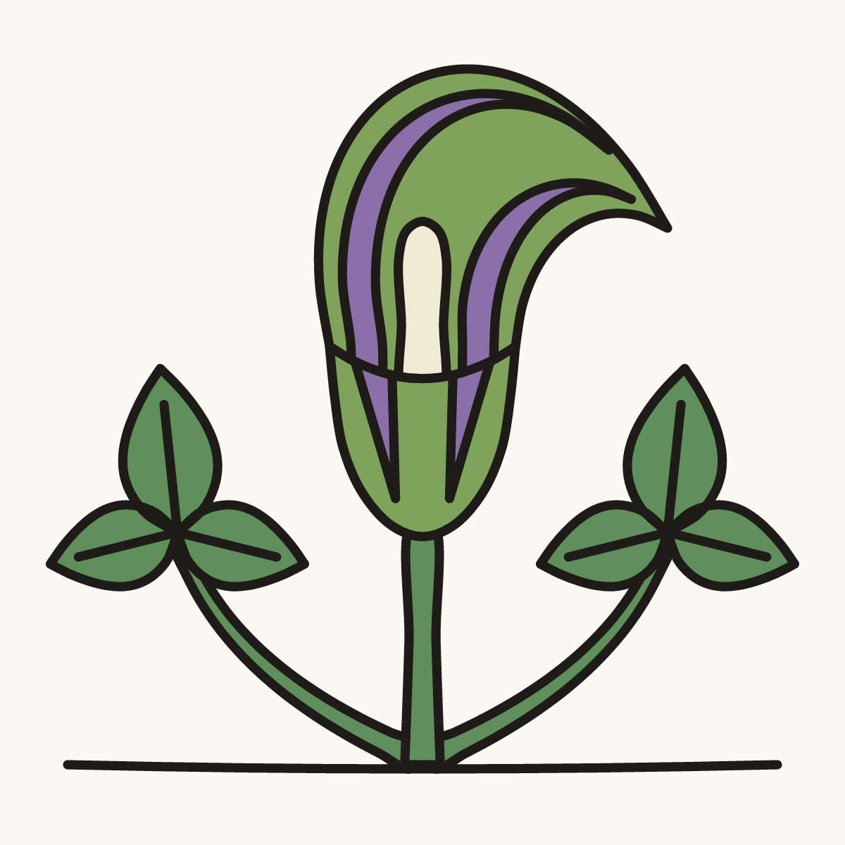 Finished drawing of a jack in the pulpit