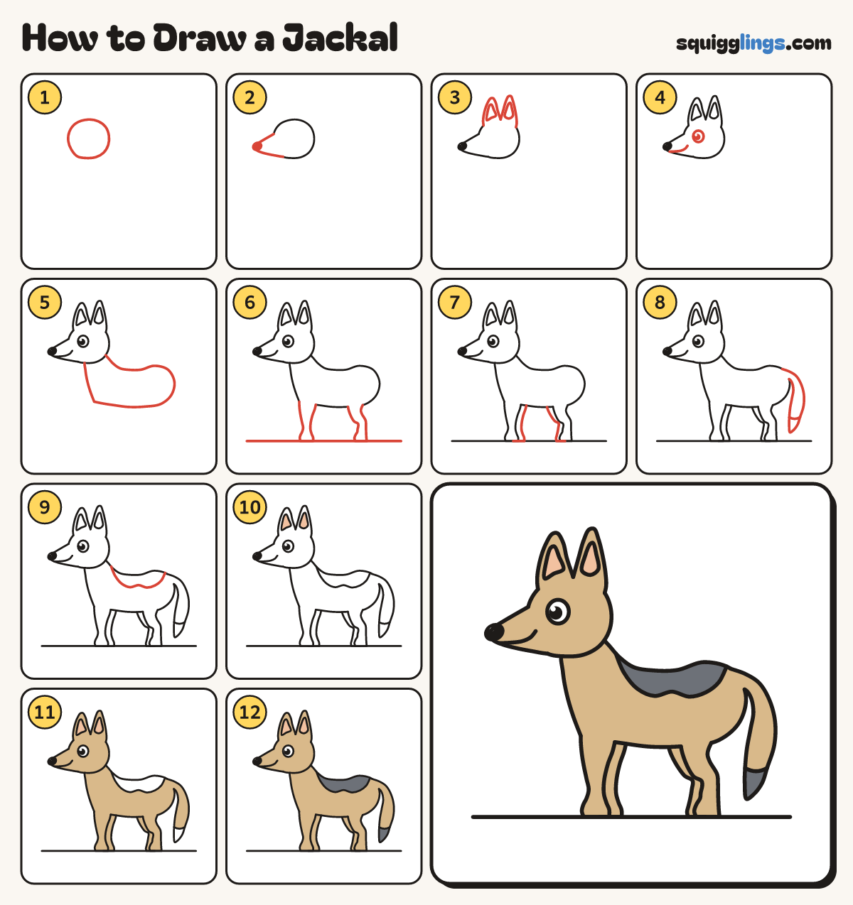 How to Draw a Jackal step by step: all 12 steps in one picture
