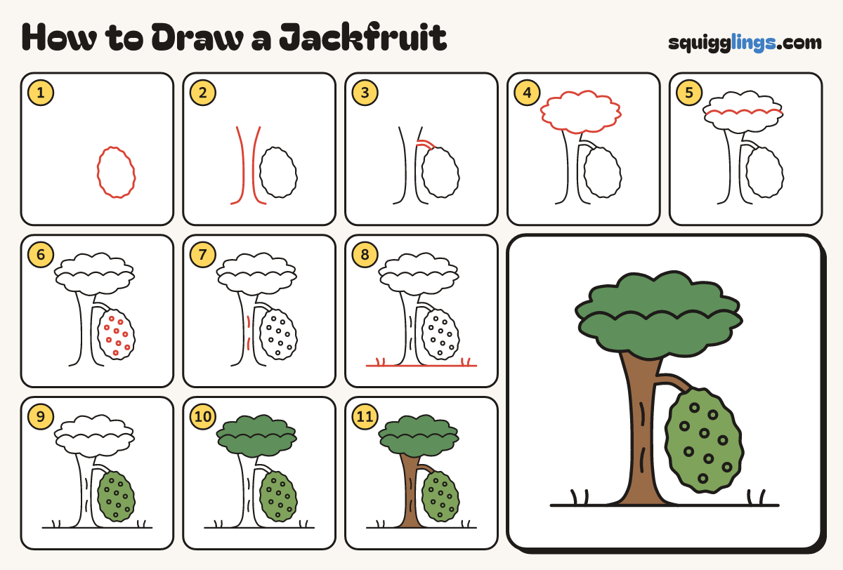 How to Draw a Jackfruit step by step: all 11 steps in one picture