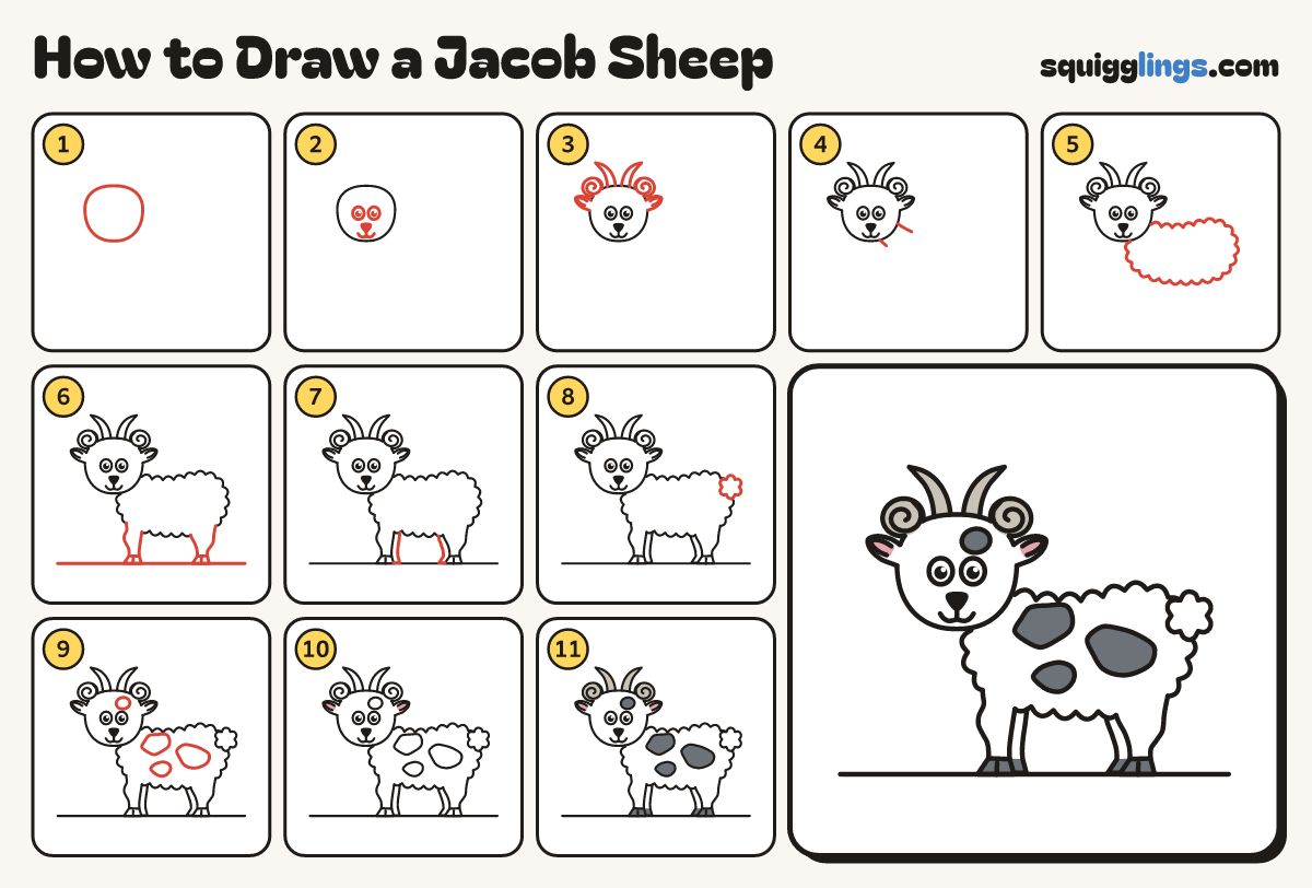 How to Draw a Jacob Sheep step by step: all 11 steps in one picture