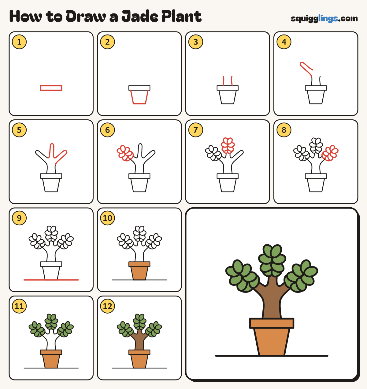 How to Draw a Jade Plant step by step: all 12 steps in one picture
