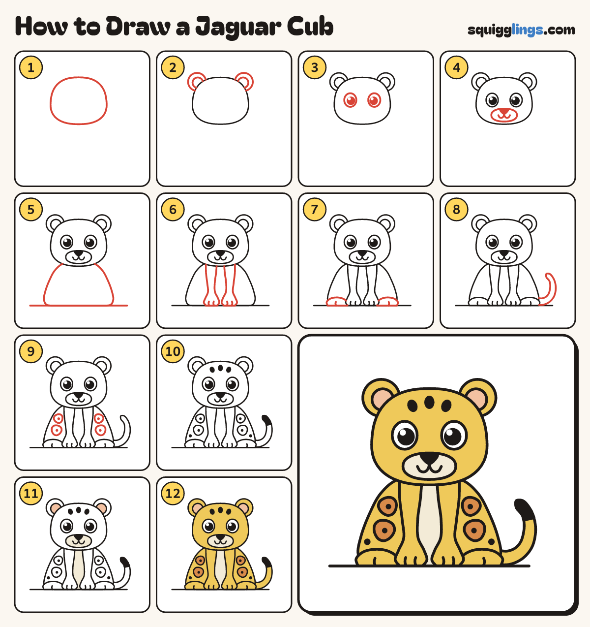 How to Draw a Jaguar Cub step by step: all 12 steps in one picture