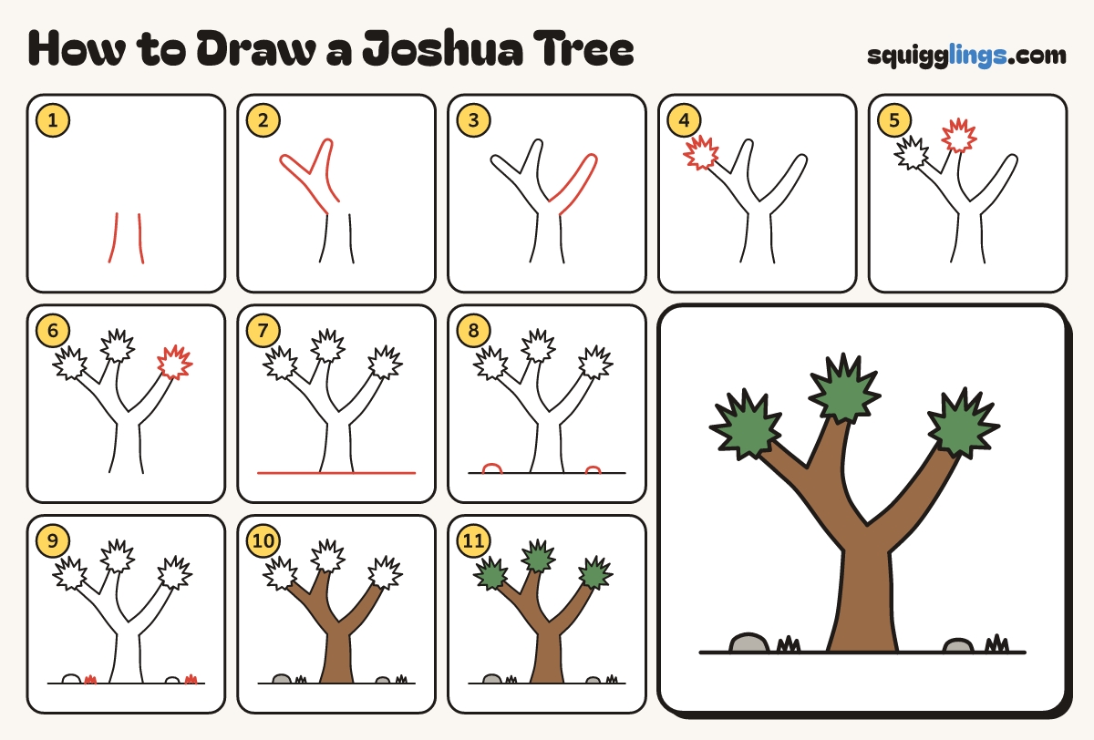 How to Draw a Joshua Tree step by step: all 11 steps in one picture