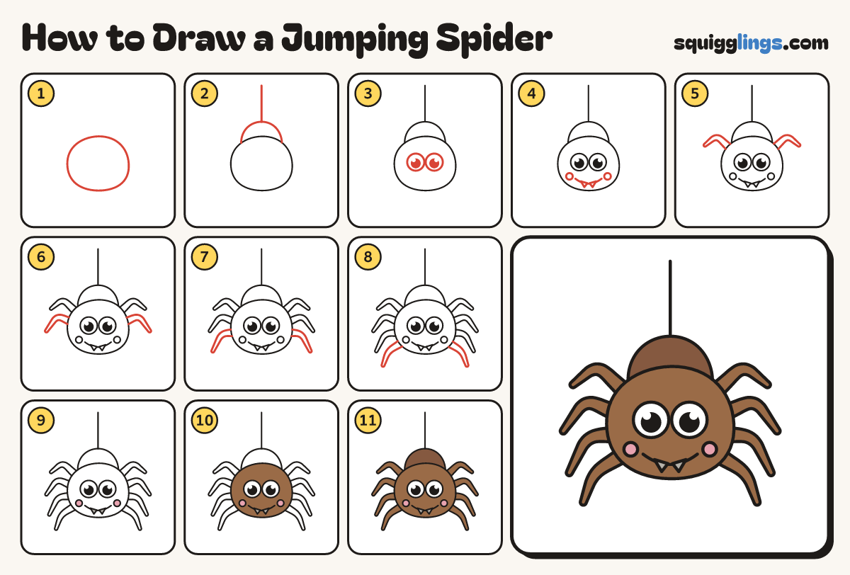 How to Draw a Jumping Spider step by step: all 11 steps in one picture