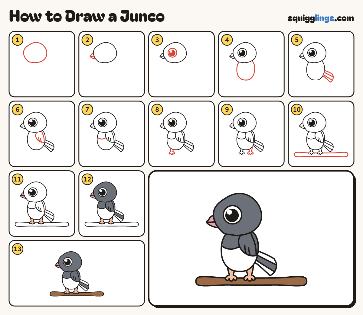 How to Draw a Junco step by step: all 13 steps in one picture