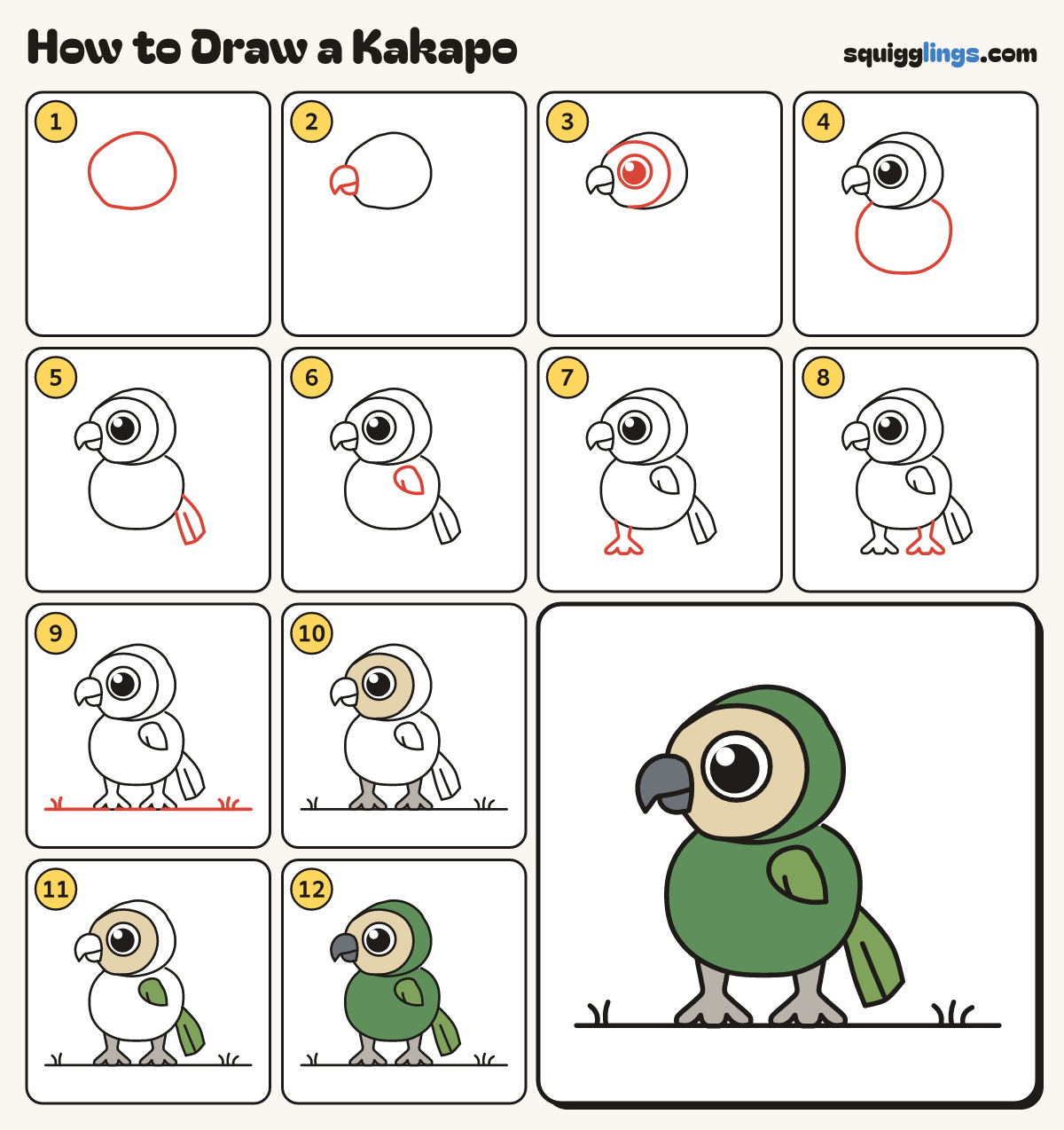 How to Draw a Kakapo step by step: all 12 steps in one picture