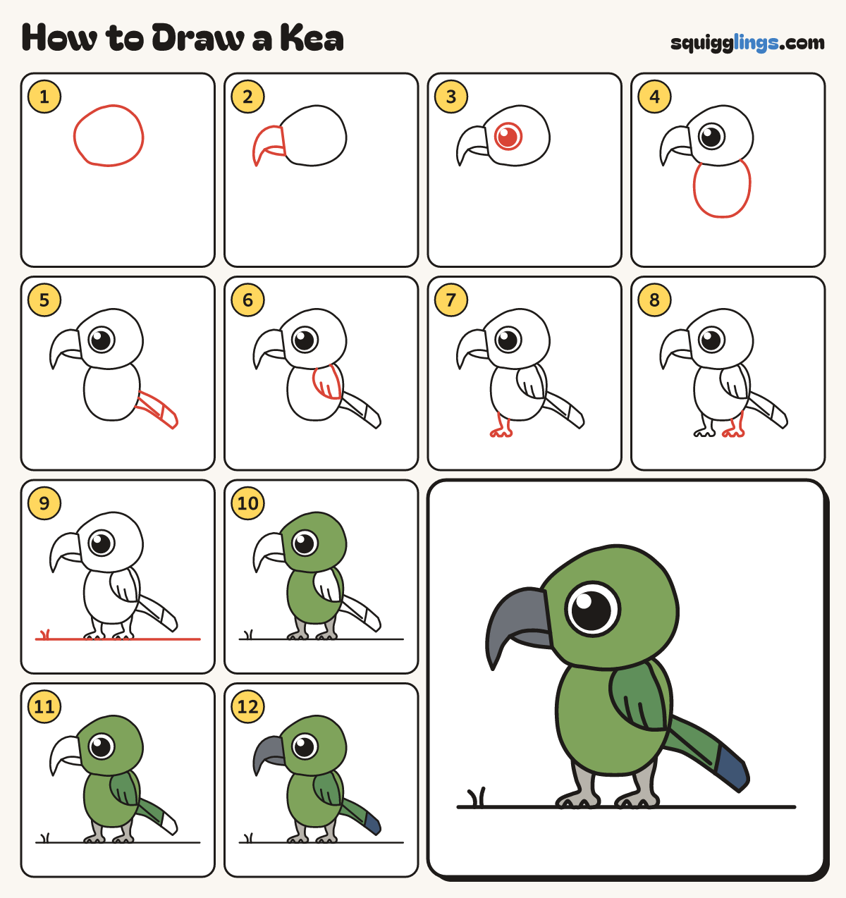 How to Draw a Kea step by step: all 12 steps in one picture