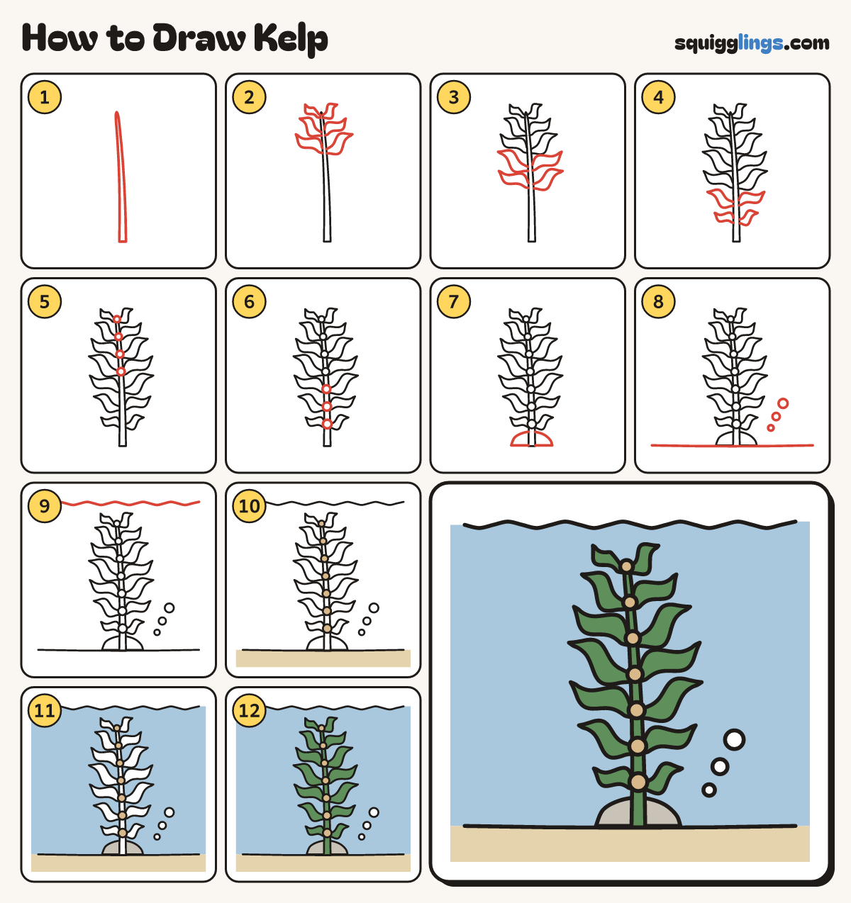How to Draw Kelp step by step: all 12 steps in one picture