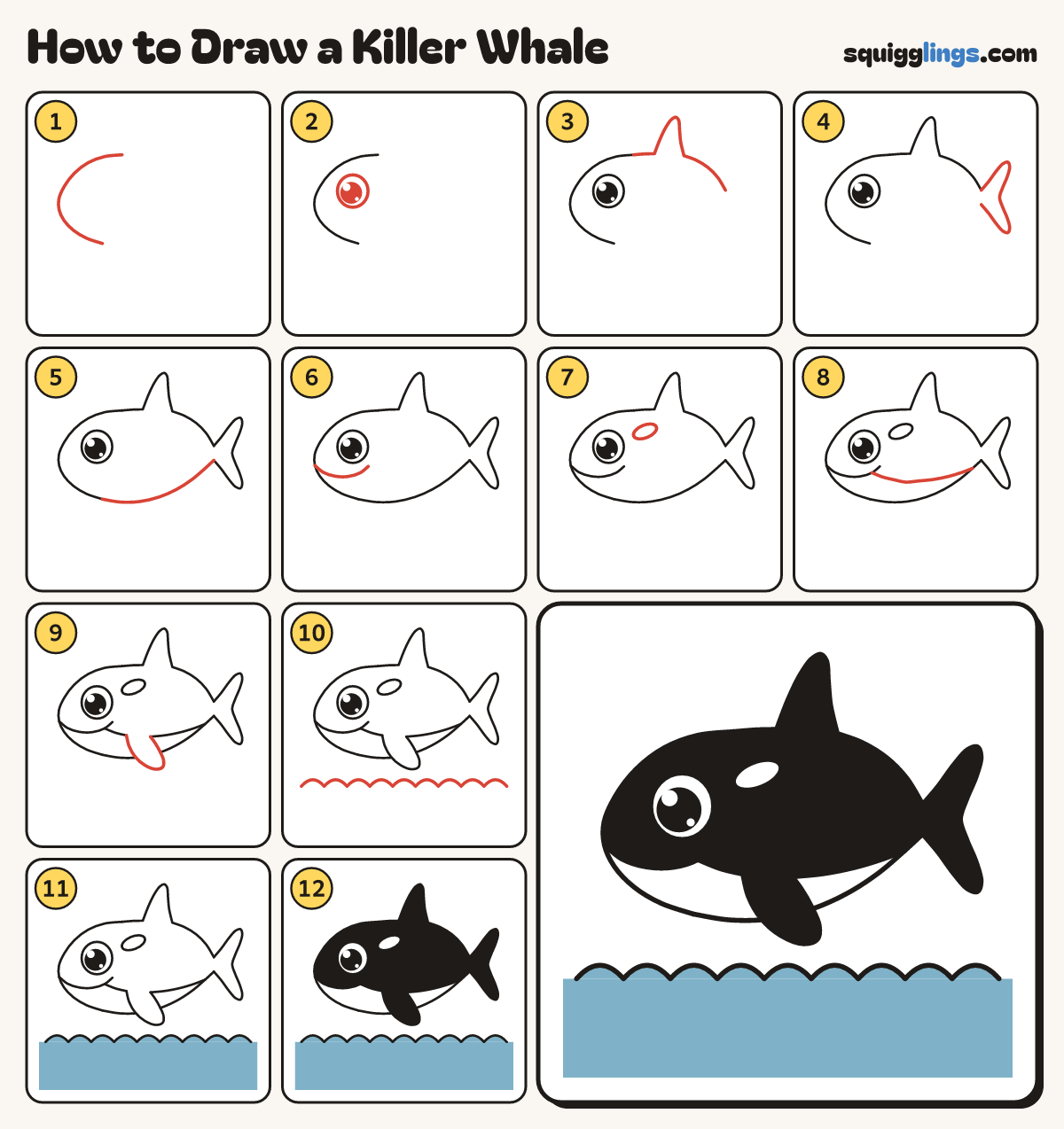 How to Draw a Killer Whale step by step: all 12 steps in one picture