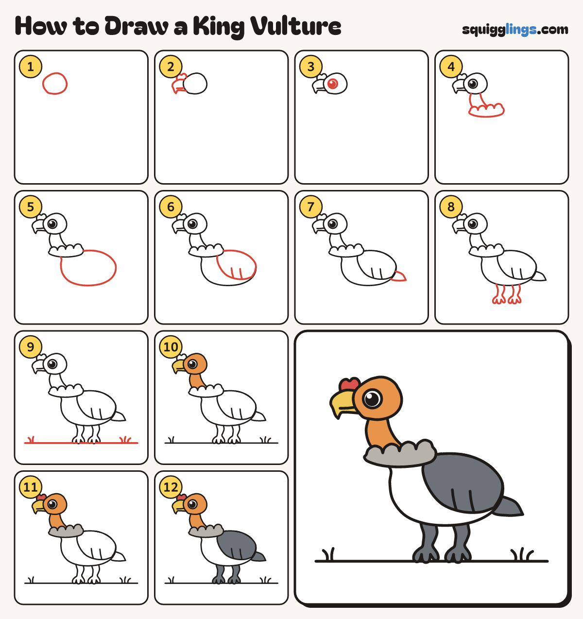 How to Draw a King Vulture step by step: all 12 steps in one picture