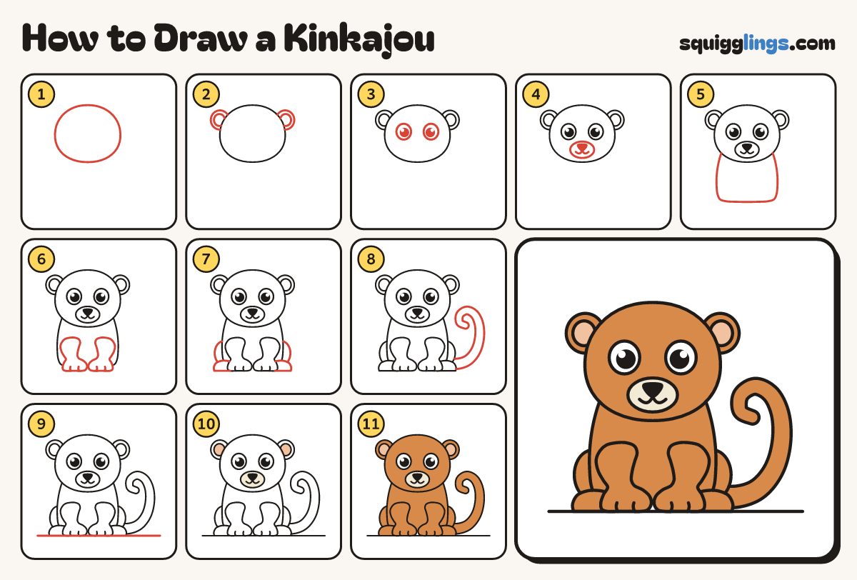 How to Draw a Kinkajou step by step: all 11 steps in one picture