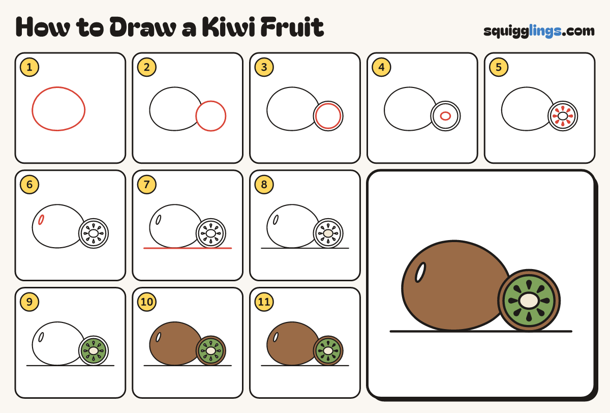 How to Draw a Kiwi Fruit step by step: all 11 steps in one picture