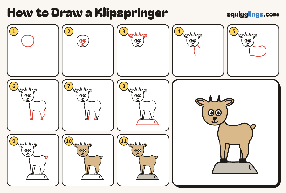 How to Draw a Klipspringer step by step: all 11 steps in one picture