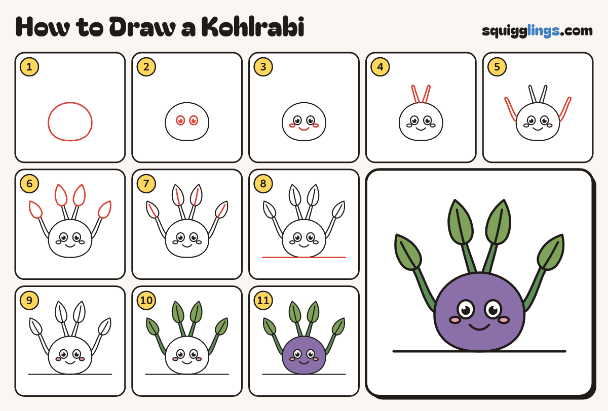 How to Draw a Kohlrabi step by step: all 11 steps in one picture