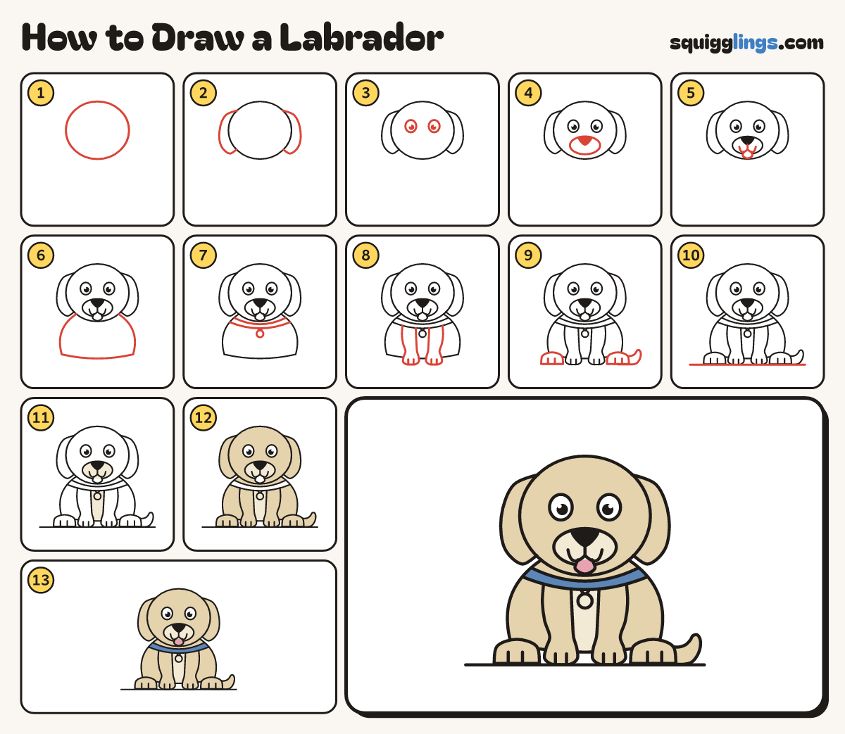 How to Draw a Labrador step by step: all 13 steps in one picture