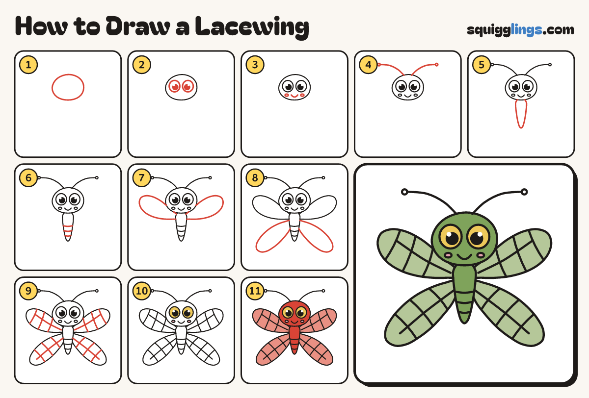 How to Draw a Lacewing step by step: all 11 steps in one picture