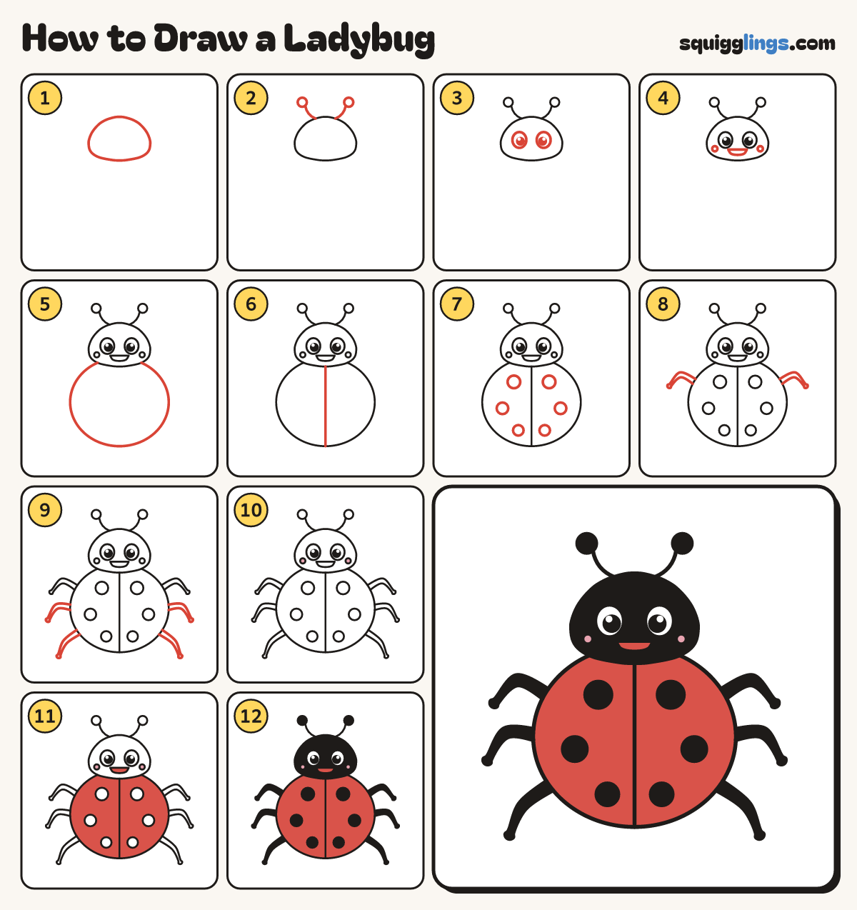How to Draw a Ladybug step by step: all 12 steps in one picture