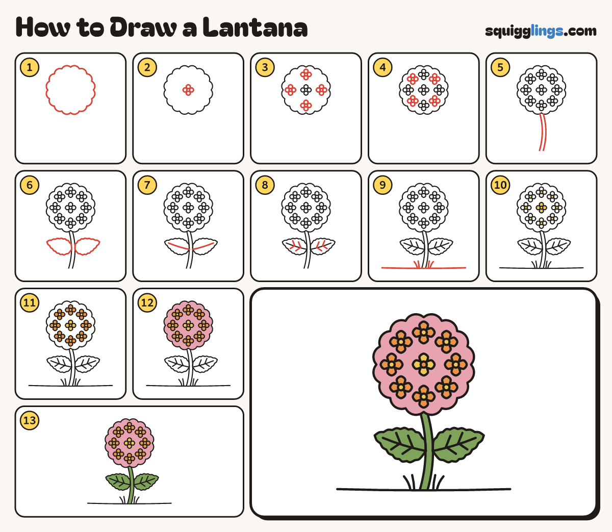 How to Draw a Lantana step by step: all 13 steps in one picture
