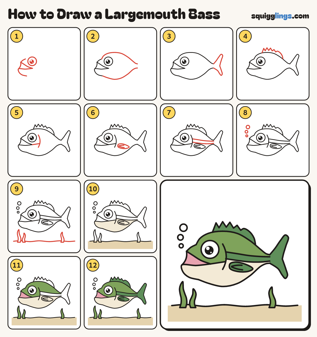 How to Draw a Largemouth Bass step by step: all 12 steps in one picture